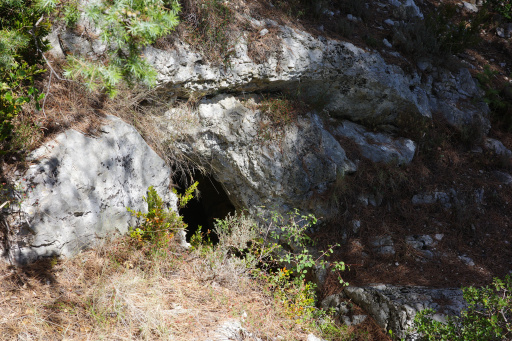 image R0010566.jpg