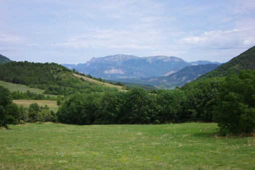 image R0010814.jpg