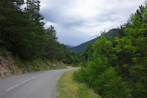 image R0010827.jpg