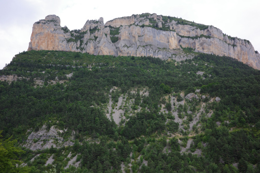 image R0010851.jpg