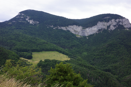 image R0010877.jpg