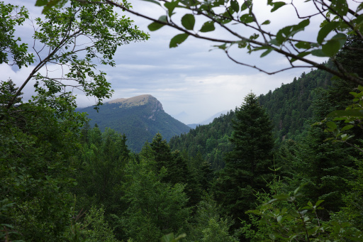 image R0010889.jpg