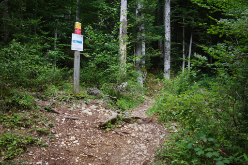 image R0010975.jpg