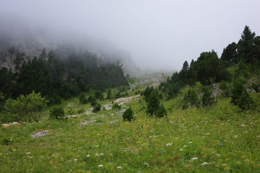 image R0011004.jpg
