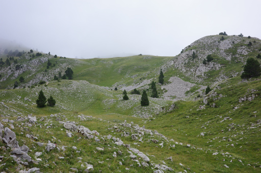 image R0011024.jpg