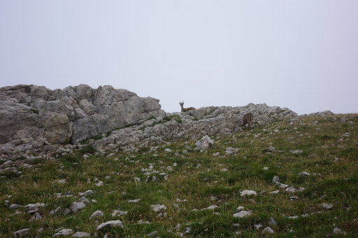 image R0011124.jpg