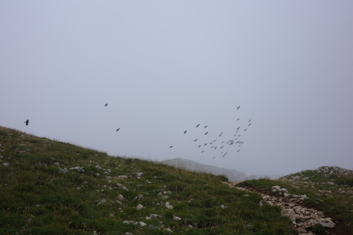 image R0011129.jpg