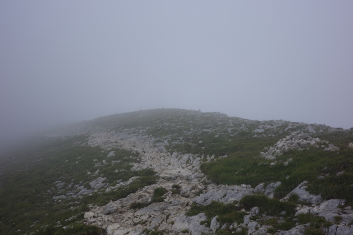 image R0011133.jpg