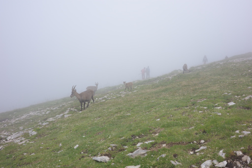 image R0011189.jpg