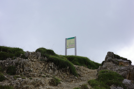 image R0011299.jpg