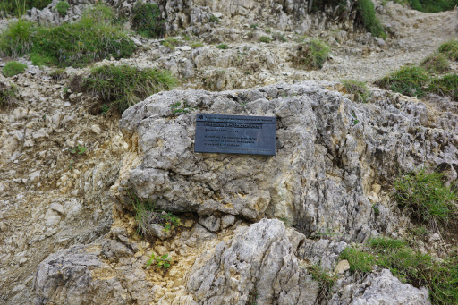image R0011303.jpg