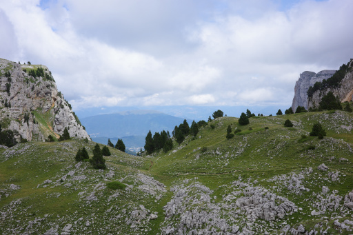 image R0011324.jpg