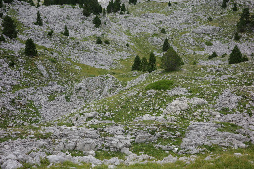 image R0011327.jpg
