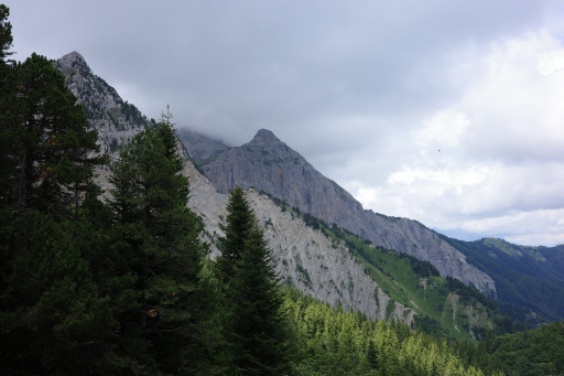 image R0011335.jpg