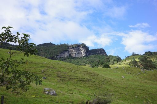 image R0013773.jpg