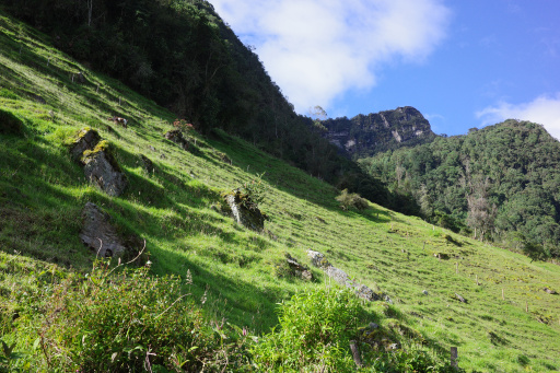 image R0013777.jpg