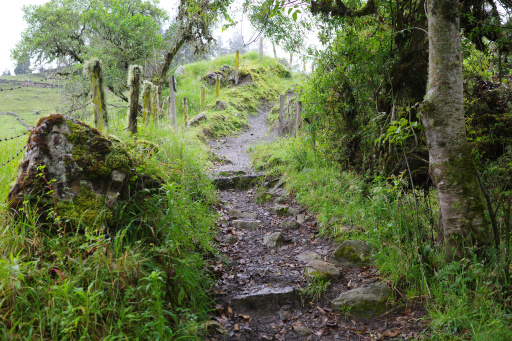 image R0013827.jpg