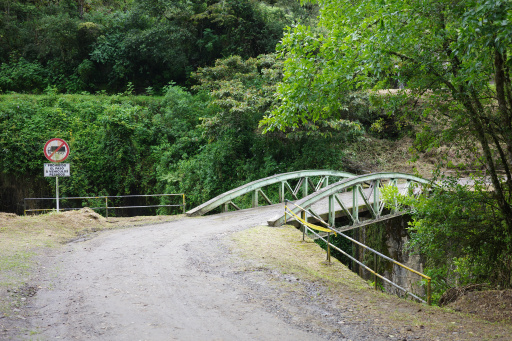 image R0013854.jpg