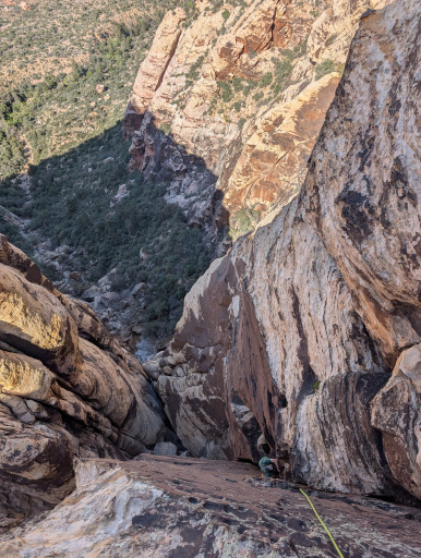 image PXL_20260327_223925051.jpg