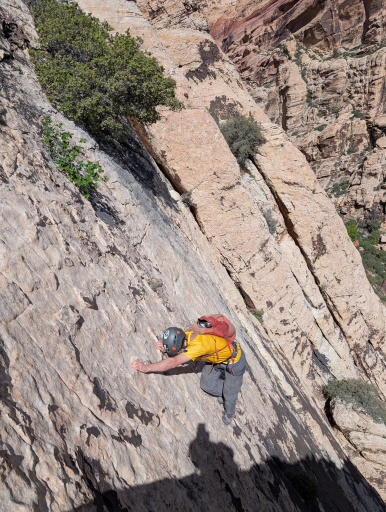 image PXL_20260328_173550271.jpg