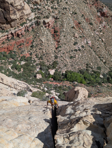 image PXL_20260328_174111311.jpg