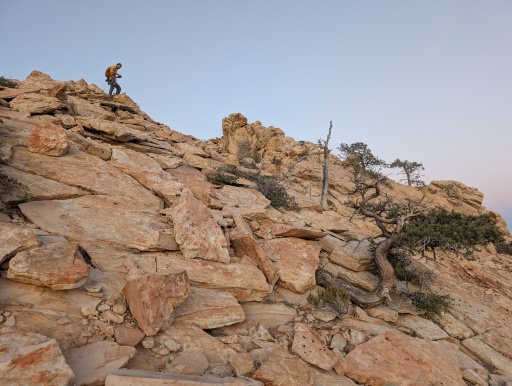 image PXL_20260329_020831931.jpg