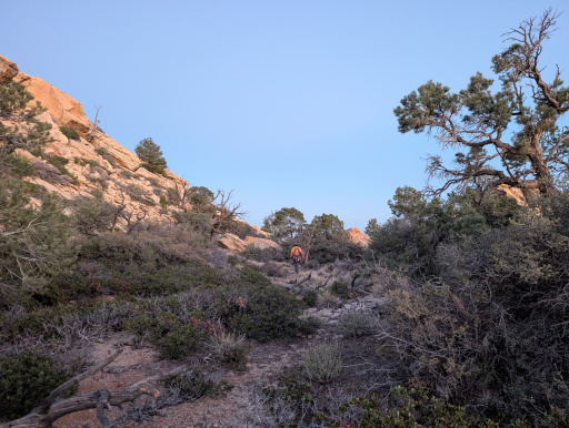 image PXL_20260329_021940127.jpg