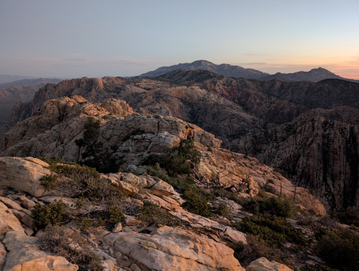 image PXL_20260329_022154951.jpg