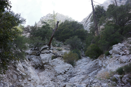 image R0010155.jpg
