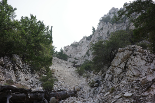 image R0010160.jpg