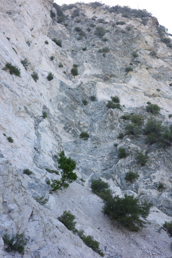 image R0010166.jpg