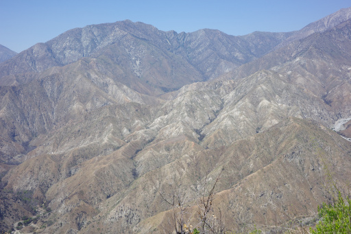 image R0010196.jpg