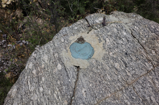 image R0010203.jpg