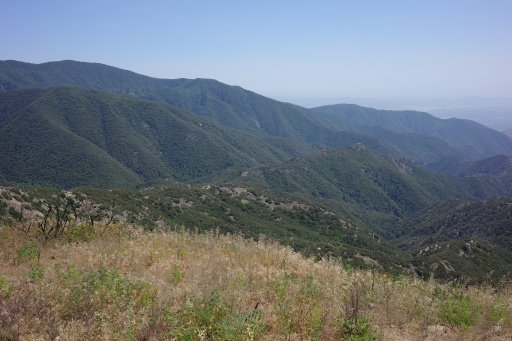 image R0010212.jpg
