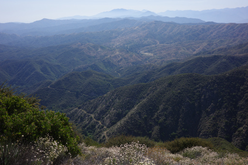 image R0010237.jpg