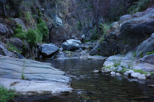 image R0011660.jpg