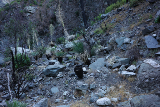 image R0011678.jpg