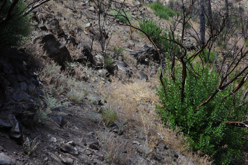 image R0011720.jpg