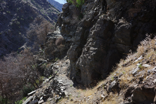 image R0011727.jpg