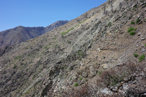 image R0011729.jpg