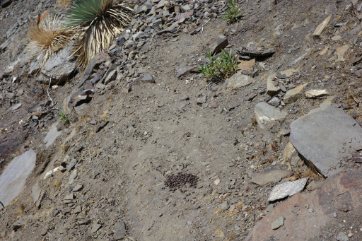 image R0011738.jpg