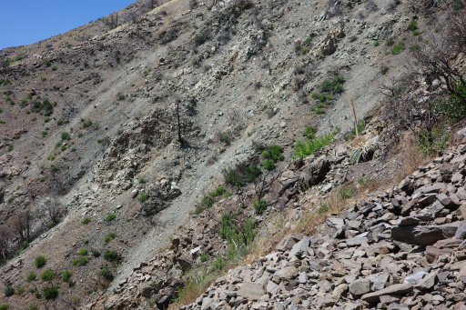 image R0011756.jpg