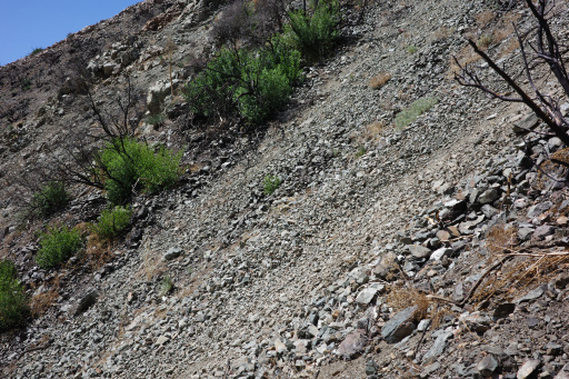 image R0011765.jpg