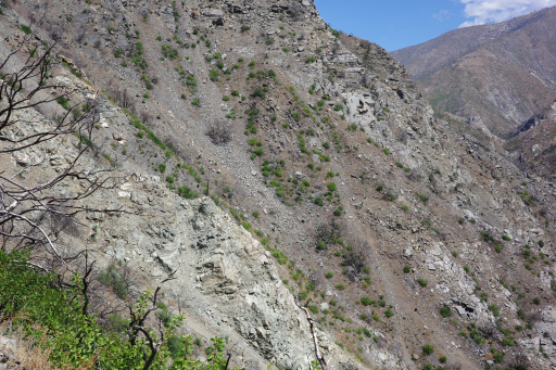 image R0011768.jpg
