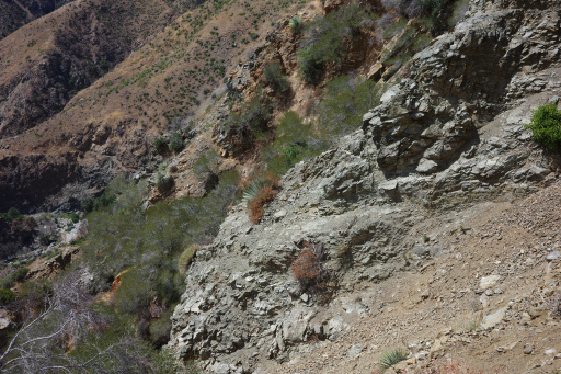 image R0011859.jpg