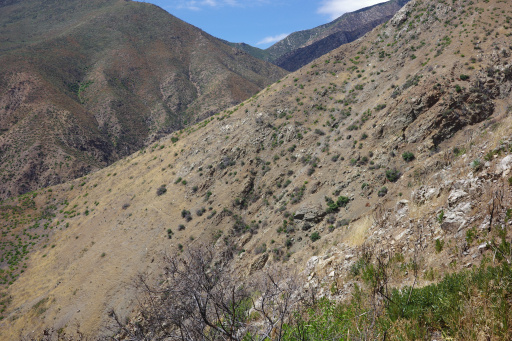 image R0011868.jpg