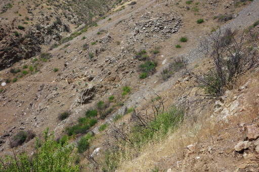 image R0011871.jpg