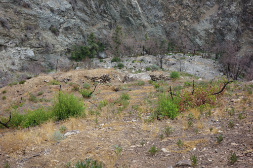 image R0011877.jpg