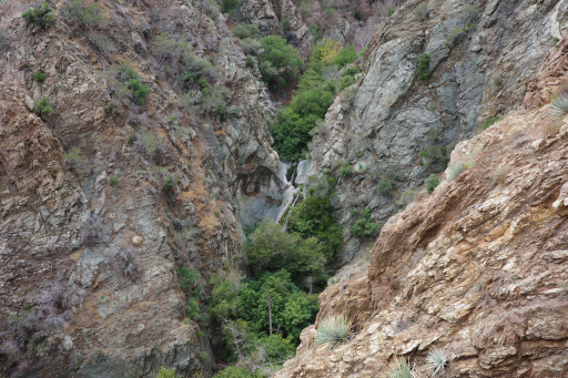 image R0011883.jpg
