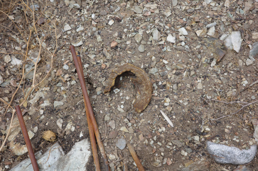 image R0011886.jpg